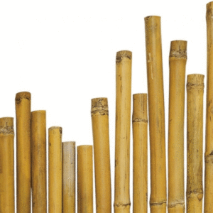 CANNE BAMBU' D.26/28