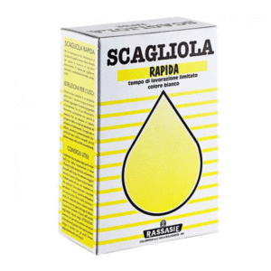 GESSO SCAGLIOLA KG. 1
