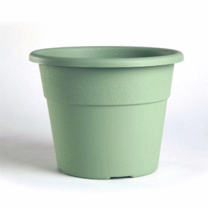VASO HEDERA SALVIA