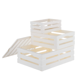 CASSETTE TINA TRIS CON COPERCHIO BIANCHE