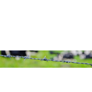 FILO SPINATO ZINCATO 4 PUNTE MT. 100