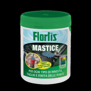 MASTICE INNESTI ML. 500