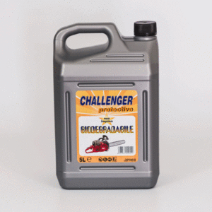 OLIO MOTOSEGHE SUPER LT. 5