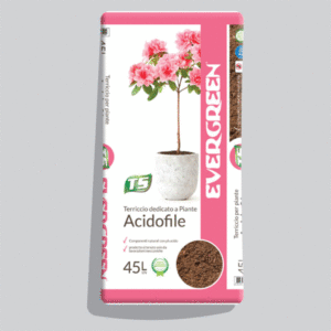 TERRICCIO ACIDOFILE EVERGREEN