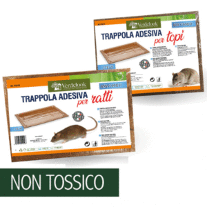 TAVOLETTE INCOLLATE TOPI GRANDI PEZZI 2