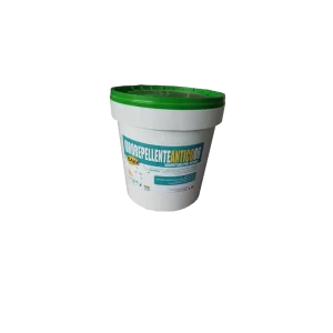IDROPITTURA ANTICA 06